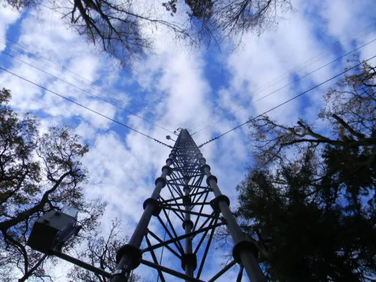 Bild: Bat-Mast – ein Messmast für die Fledermaus-Forschung