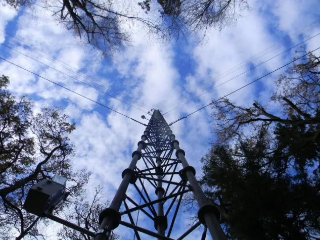 Bild: Bat-Mast – ein Messmast für die Fledermaus-Forschung