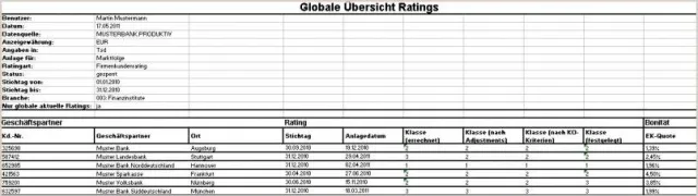 Bild: e.stradis launched rms-Rating Portfolioanalyse
