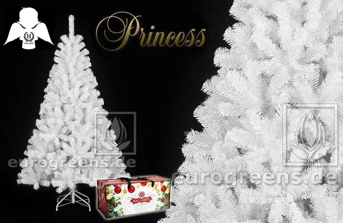 Mit dem Kauf eines Weihnachtsbaums von EuroGreens werden 19 Mittagessen für Kinder finanziert