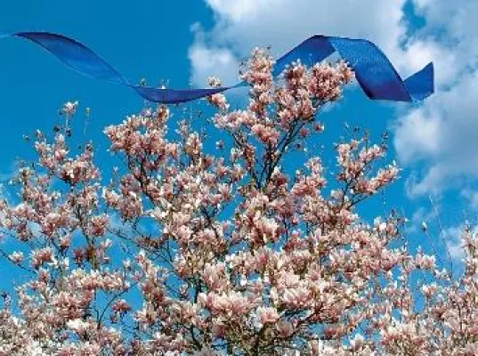 Bild: Ostern und Pfingsten an der Nordsee - Urlaub mit Erholungsgarantie