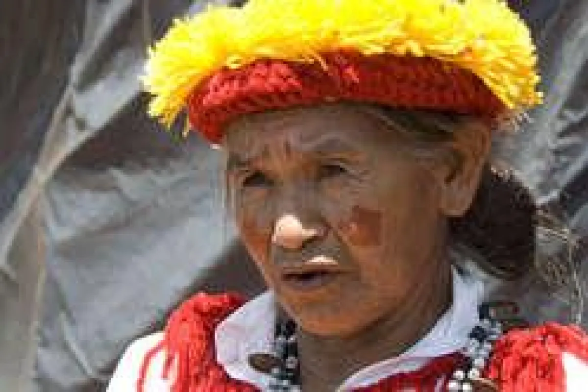 Der Großteil des Landes der Guarani wurde gestohlen, um Platz für Viehzucht zu schaffen. ©Survival