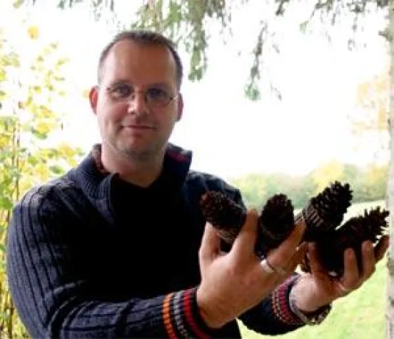 Naturprodukt noch optimiert - Der ZapfenZünder Bild: Naturprodukt noch optimiert - Der ZapfenZünder
