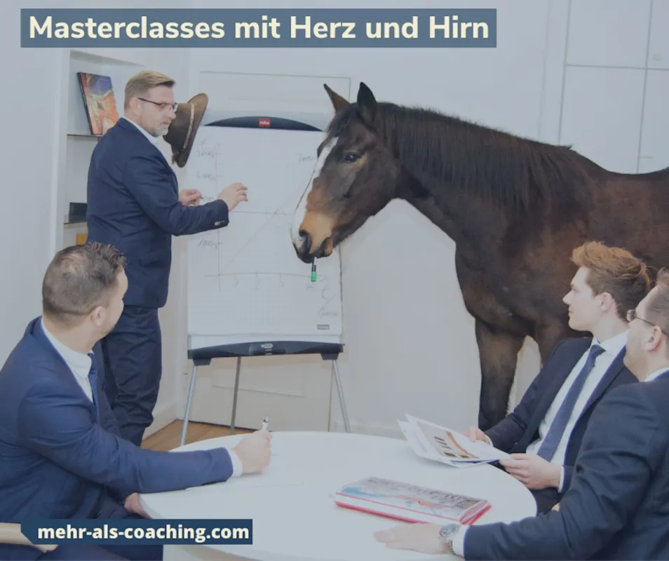 Unser Business-Pferd Kristall (© Olaf Quinque)