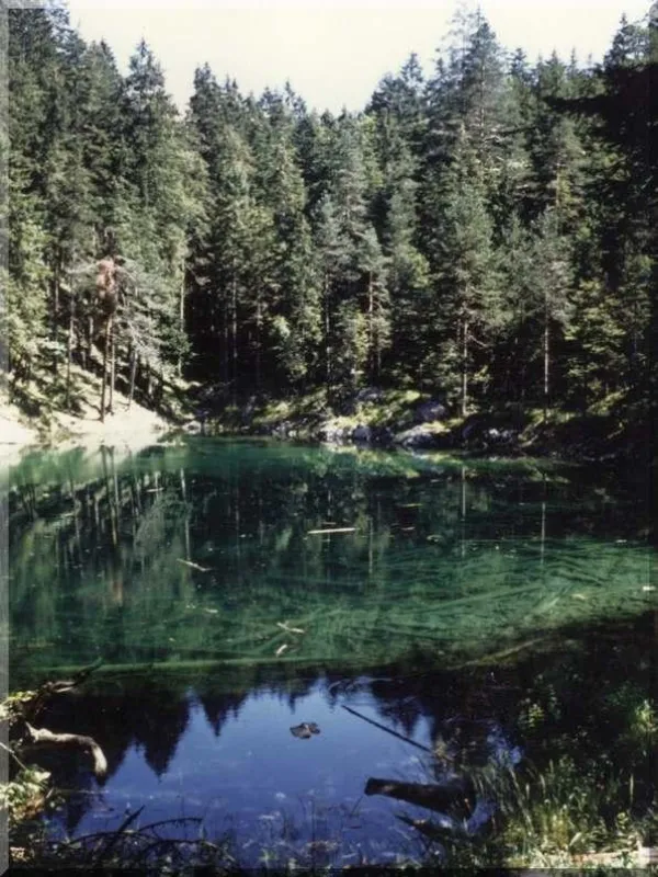 Qi Gong in freier Natur