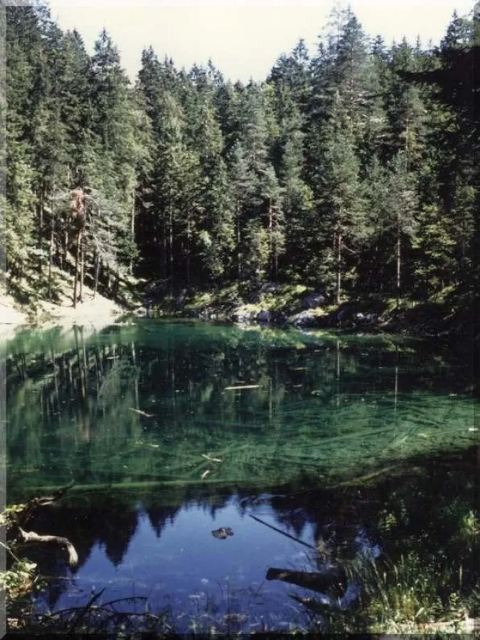 Qi Gong in freier Natur