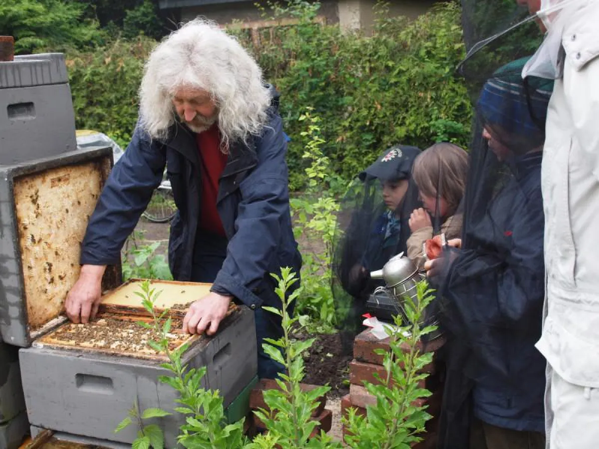 Bienenvölker auf dem Schulgelände