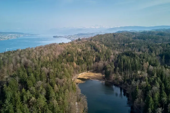 Bild: Sebastian Vetter erkundet mit seinem Freund Dr. Thomas Vogel aus Zürich die versteckten Gärten der Goldküste