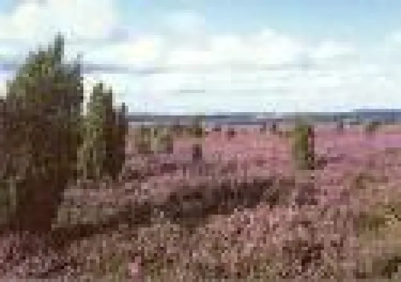 Bild: Urlaub mit anderen Alleinerziehenden in der Lüneburger Heide