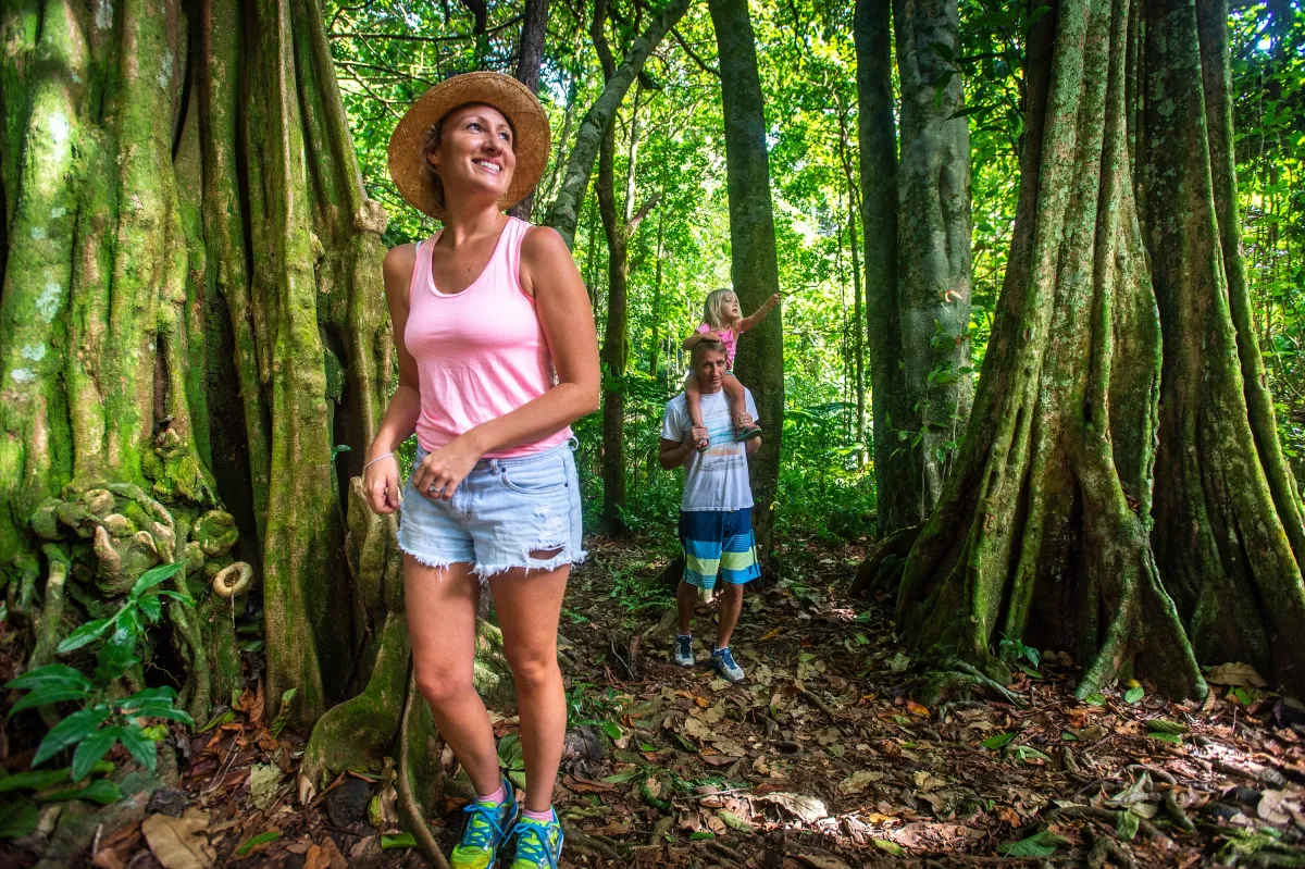 Dichte tropische Regenwälder auf Atiu (© ©Kirklandphotos)
