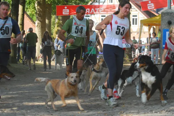 Bild: Jog the dog – 5 km-Lauf - Urlaub mit Hund in der Lüneburger Heide
