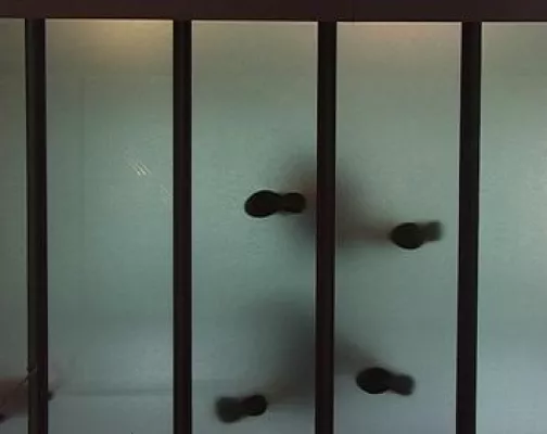 Bild: Galerie- und Kunstassistenten von FORUM Berufsbildung laden zur Ausstellungseröffnung "glas klar milchig"