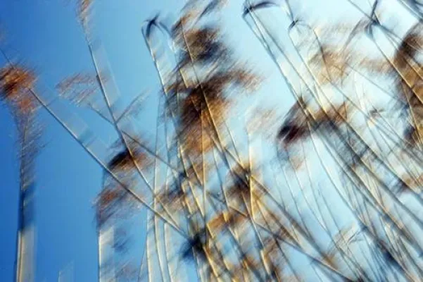 Bild: E-TTL: Natur- & Landschaftsfotografie einmal anders - ein Foto-Workshop mit Paul Leclaire, BFF