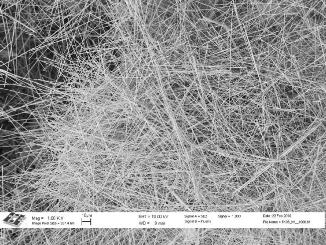 REM_Aufnahme von Silber-Nanowires für transparente, leitfähige Oberflächen