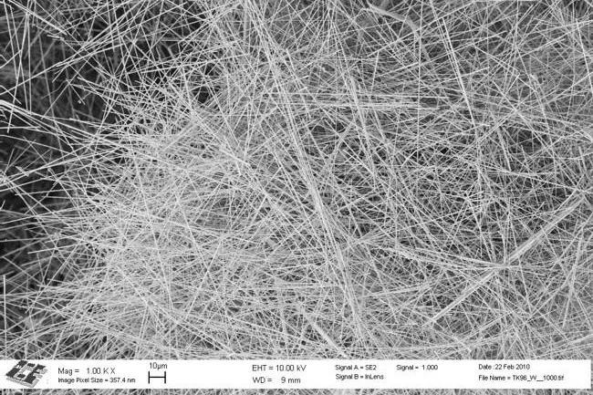 Bild: Transparente, elektrisch leitfähige Beschichtungen mit ECOS™ Silber-Nanowires