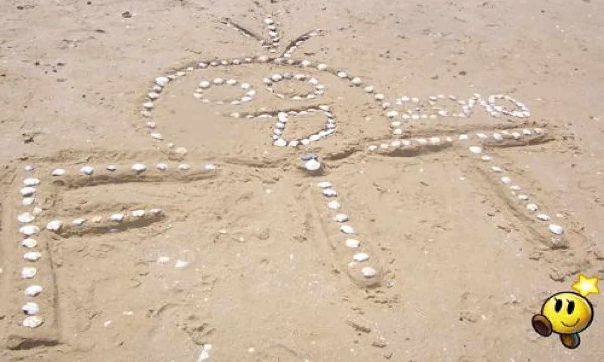 Fit Stars sind bares Geld wert