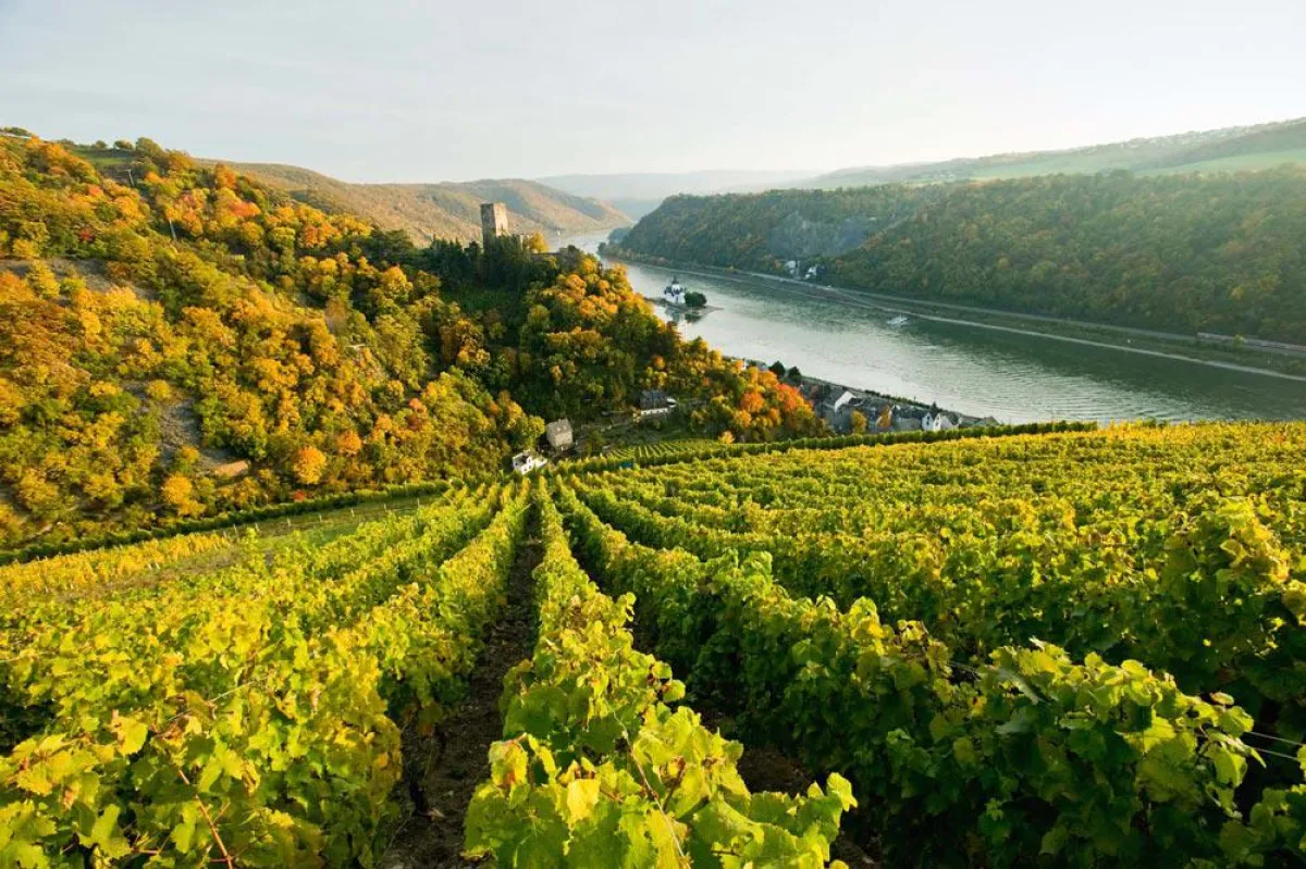 Romantischer Rhein, Foto: Dominik Ketz/Romantischer Rhein Tourismus GmbH