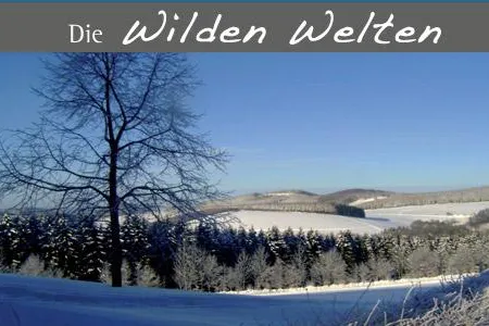 Bild: Samstag 14.03.2009 - Geführte Wanderung auf dem Hohen Knochen im Sauerland