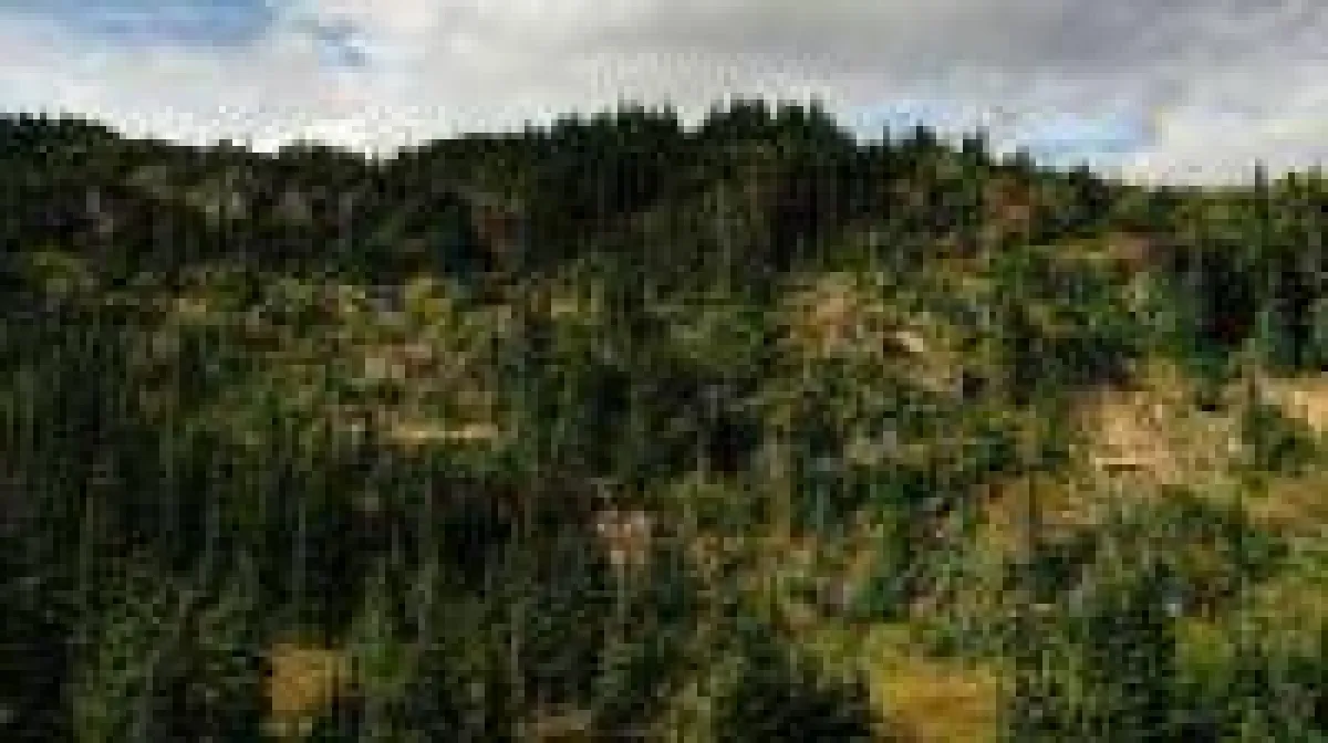 Quelle Vizsla Resources