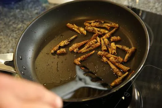 Bild: Mit essbaren Insekten in 15 Jahren vom jungen Abenteurer zum erfolgreichem Unternehmer
