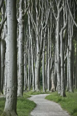 Bild: Fotworkshop „Bildgestaltung“ im Januar 2015 mit der Fotoschule des Sehens