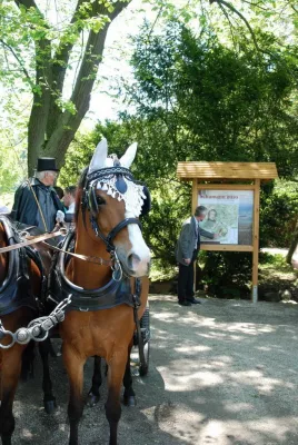 Schumann auch zukünftig ein Teil von Bad Elster Bild: Schumann auch zukünftig ein Teil von Bad Elster