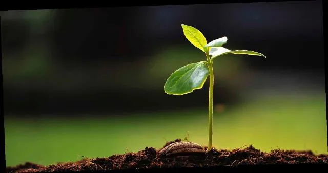 Bild: Neu: „Welldiana“ by Aldiana