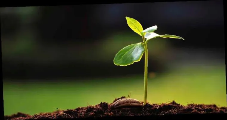 Bild: Neu: „Welldiana“ by Aldiana