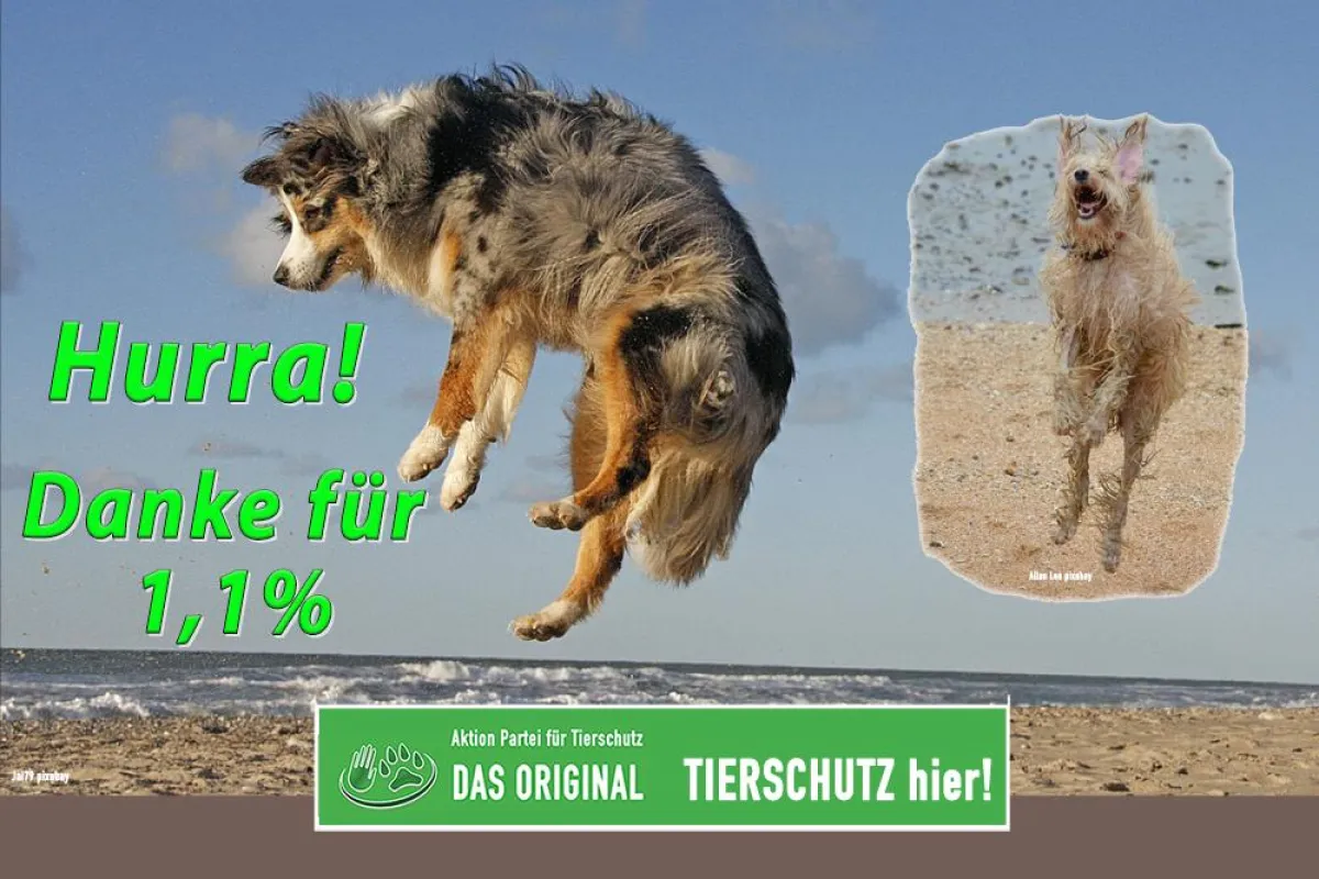 Ein riesen Erfolg für die Tiere