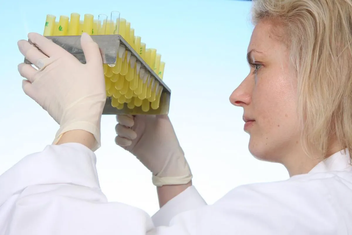 Hormonzentrum Berlin