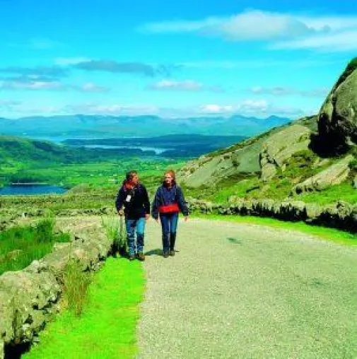 Bild: Der Weg ist das Ziel - The Kerry Way
