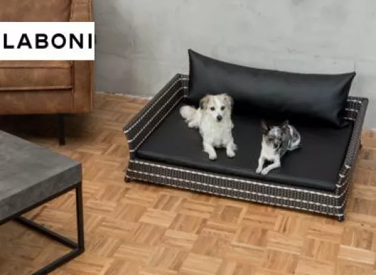Bild: Design-Ambiente für Vierbeiner – die ODEON Kollektion von LABONI