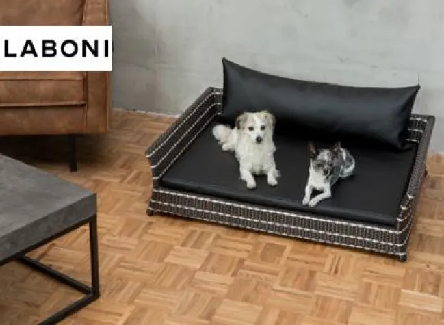 Bild: Design-Ambiente für Vierbeiner – die ODEON Kollektion von LABONI
