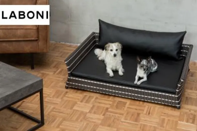 Design-Ambiente für Vierbeiner – die ODEON Kollektion von LABONI Bild: Design-Ambiente für Vierbeiner – die ODEON Kollektion von LABONI