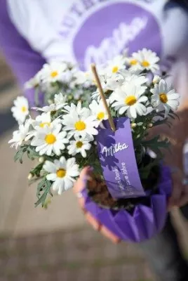 Bild: 111 Jahre Milka: Die lila Kultmarke feiert Geburtstag in Stuttgart