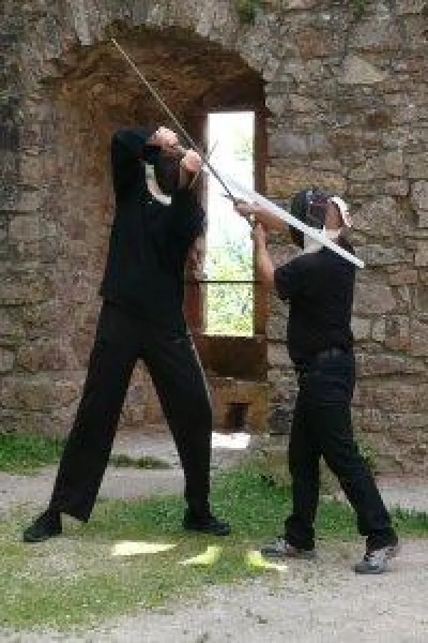 Parierstangen in Aktion