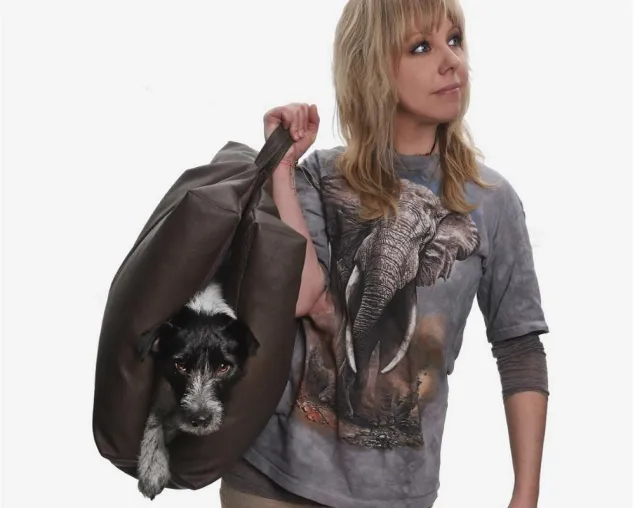 Bild: Reise Hundekissen Travel Bed