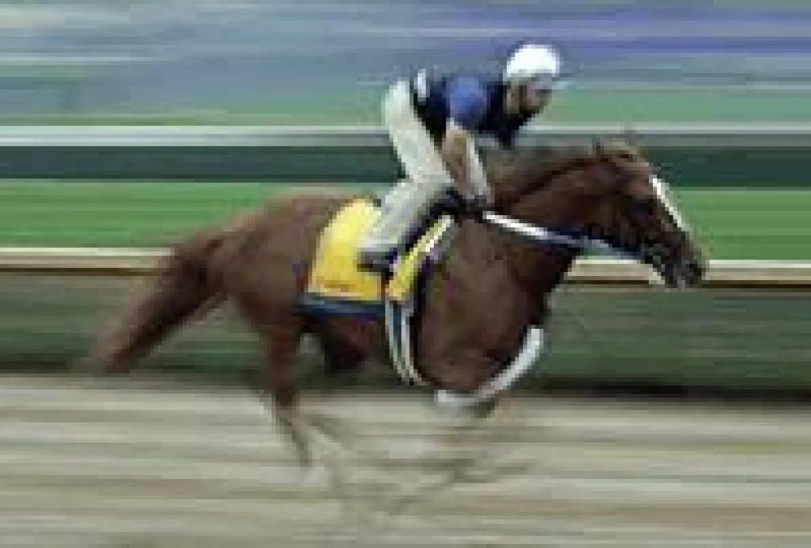 Galopprennen der Sprinter