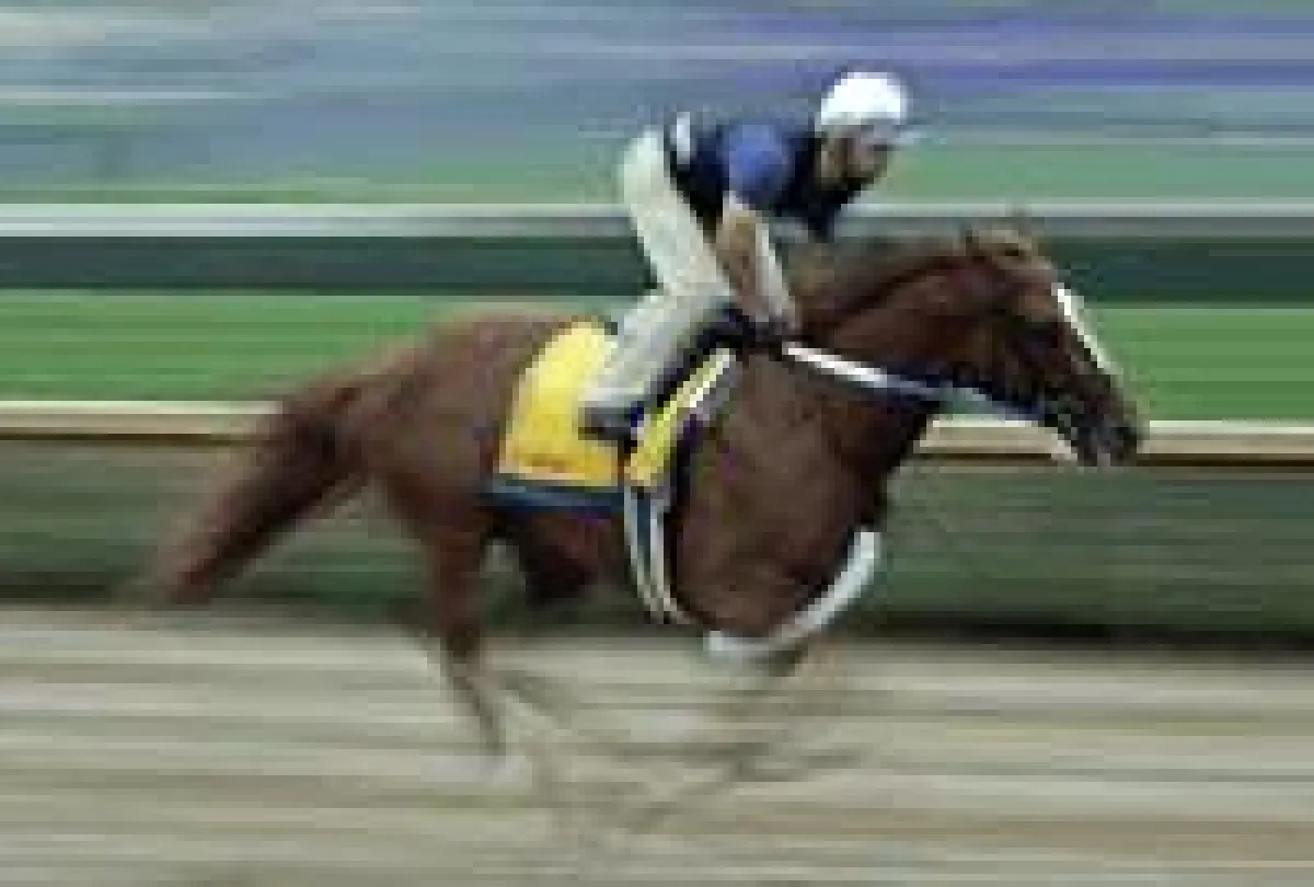 Galopprennen der Sprinter