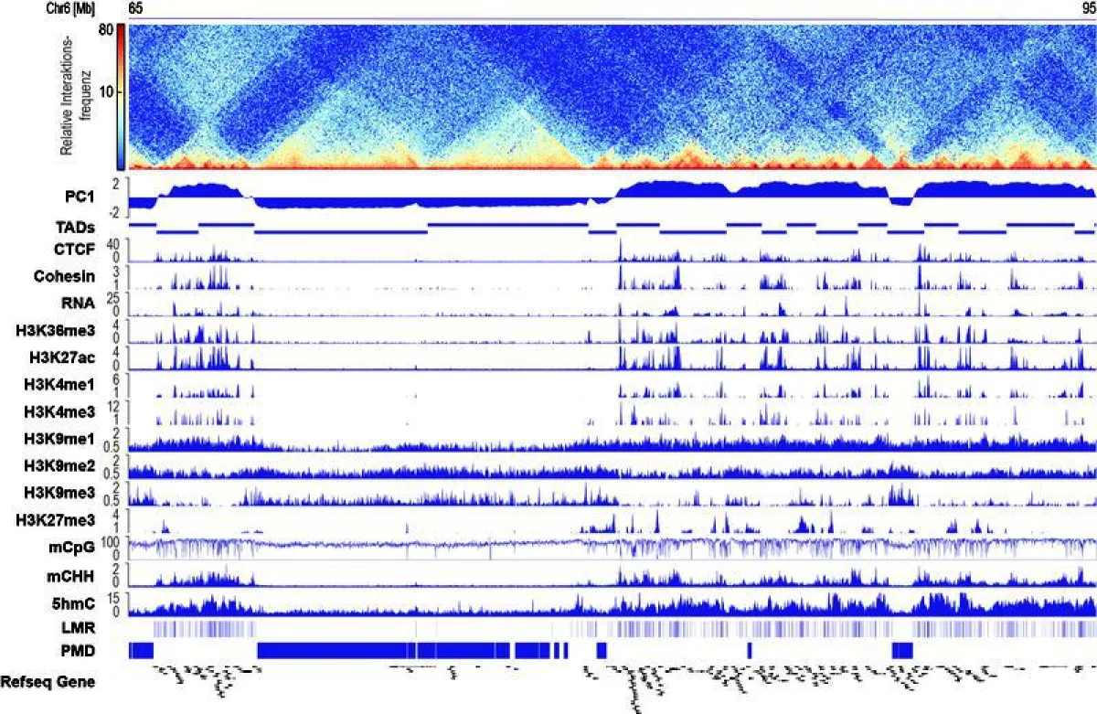 Bildunterschrift: Siehe Pressemitteilung ()