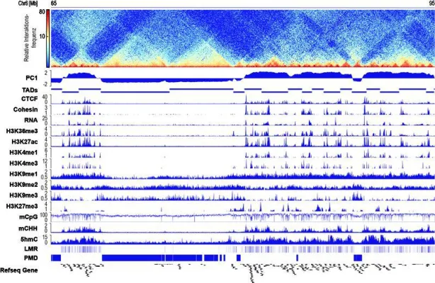 Zentraler Schalter Bild: Zentraler Schalter
