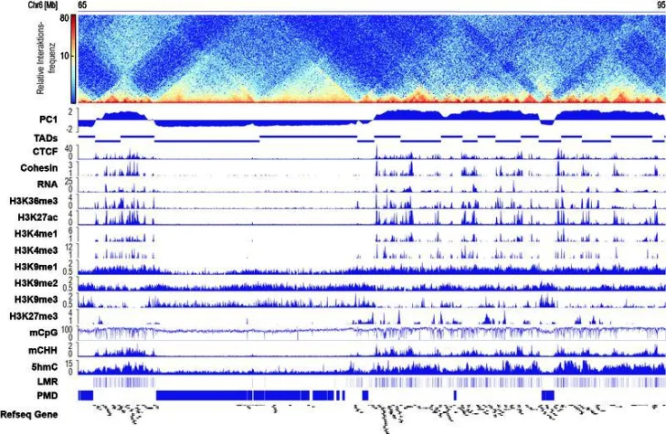 Zentraler Schalter Bild: Zentraler Schalter