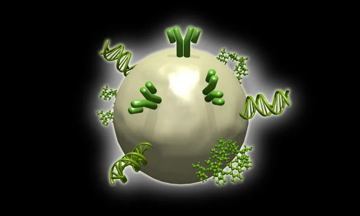 Gold-Nanopartikel, konjugiert mit Oligonukleotiden, Peptiden und Antikörpern