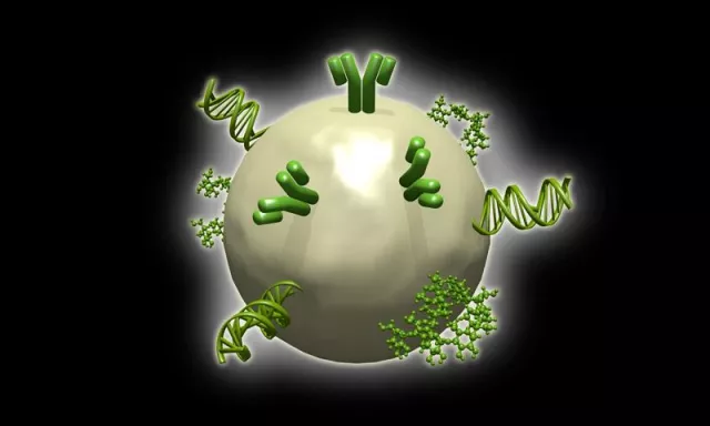 Bild: Gold-Nuggets für die Biomedizintechnik