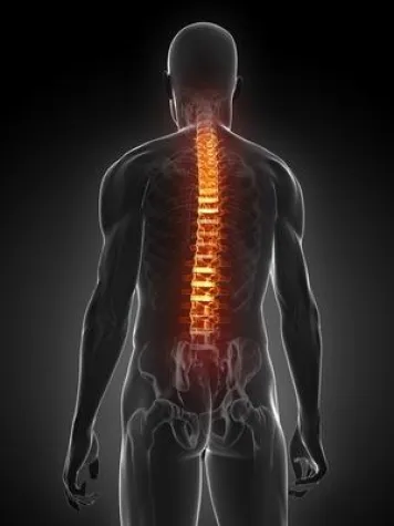 Es gibt nur eine wertvolle Gesundheit Bild: Es gibt nur eine wertvolle Gesundheit