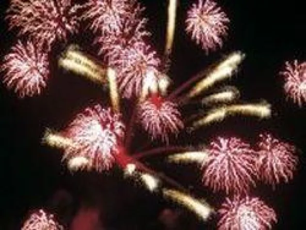 Bild: 17 Reiseideen für den Jahreswechsel