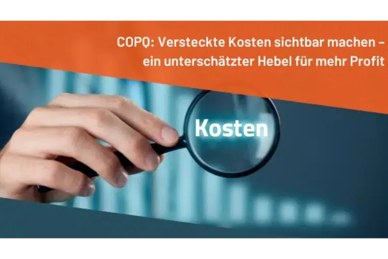 Bild: StingOrg launcht kostenfreies Video-Angebot: COPQ (Cost of poor Quality) als Hebel für profitables Business