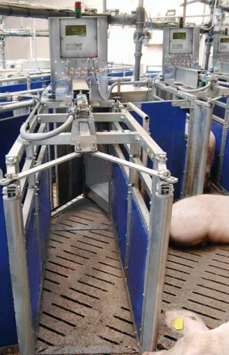 Bild: Stallmanagement: Neue WEDA-Abrufstation für die Gruppenhaltung