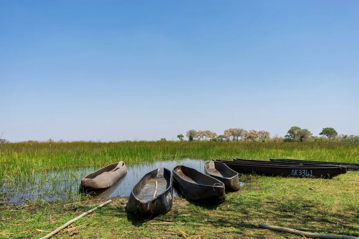 Unterwegs im Okavango-Delta: Exklusive Naturerlebnisse mit TMC Reisen (© Foto von Ajeet Panesar auf Unsplash)