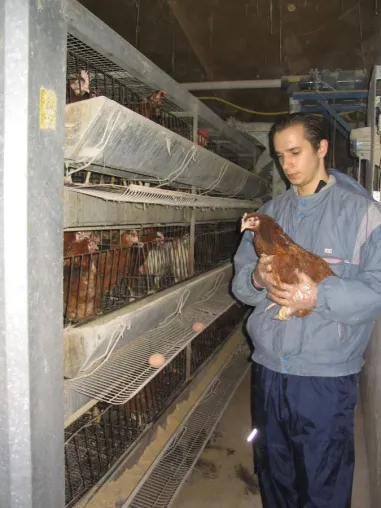 Bild: Veganismus statt Vegetarismus, Tierrechte statt Tierschutz
